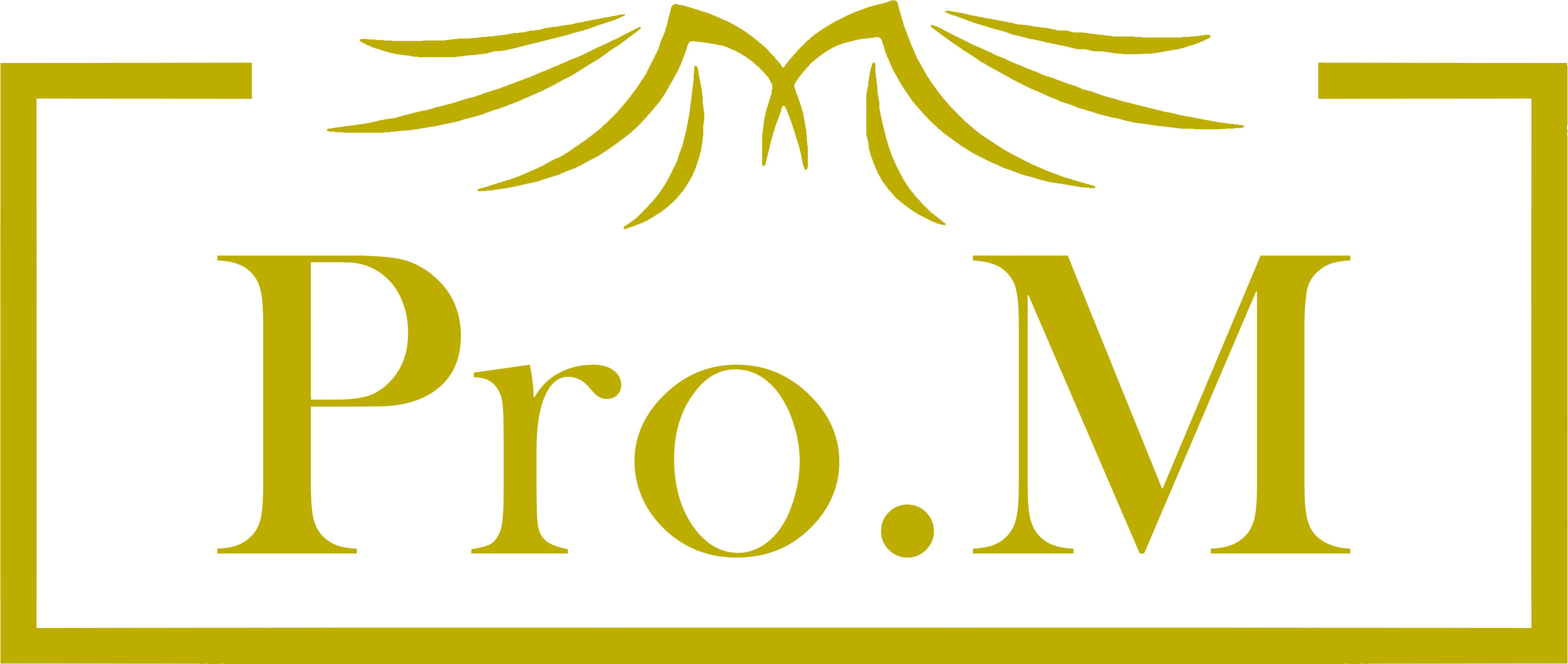 Pro.M